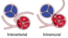 Coronary artery anomalies 2